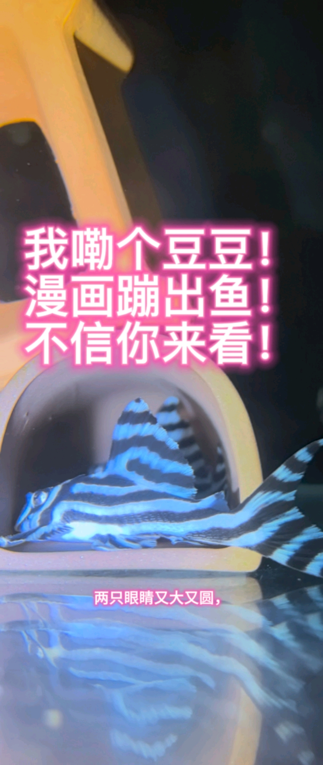 我嘞个豆!漫画里蹦出鱼,不信你来看!一定让你内心欢喜!