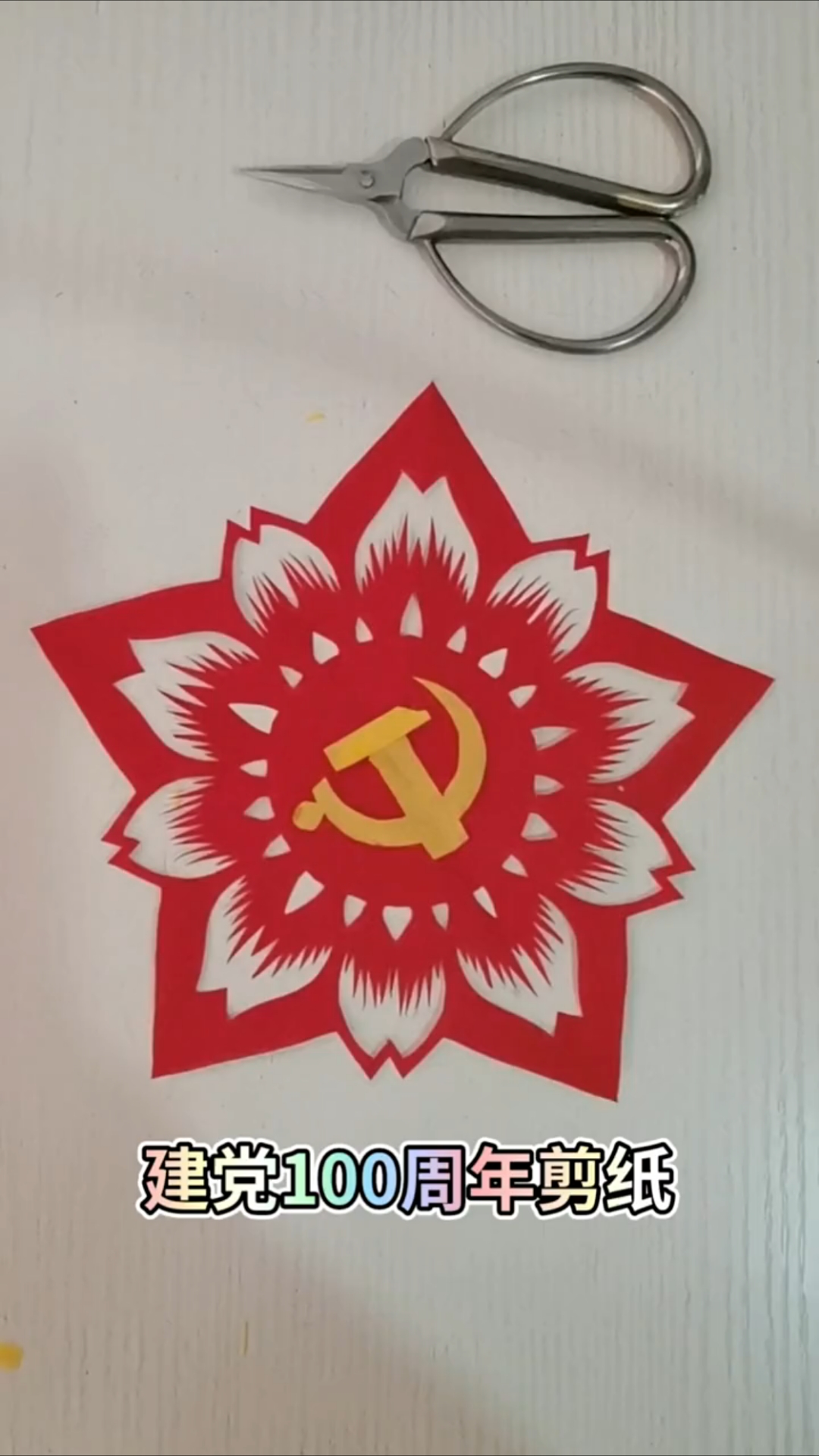 米奇鱼好养活吗