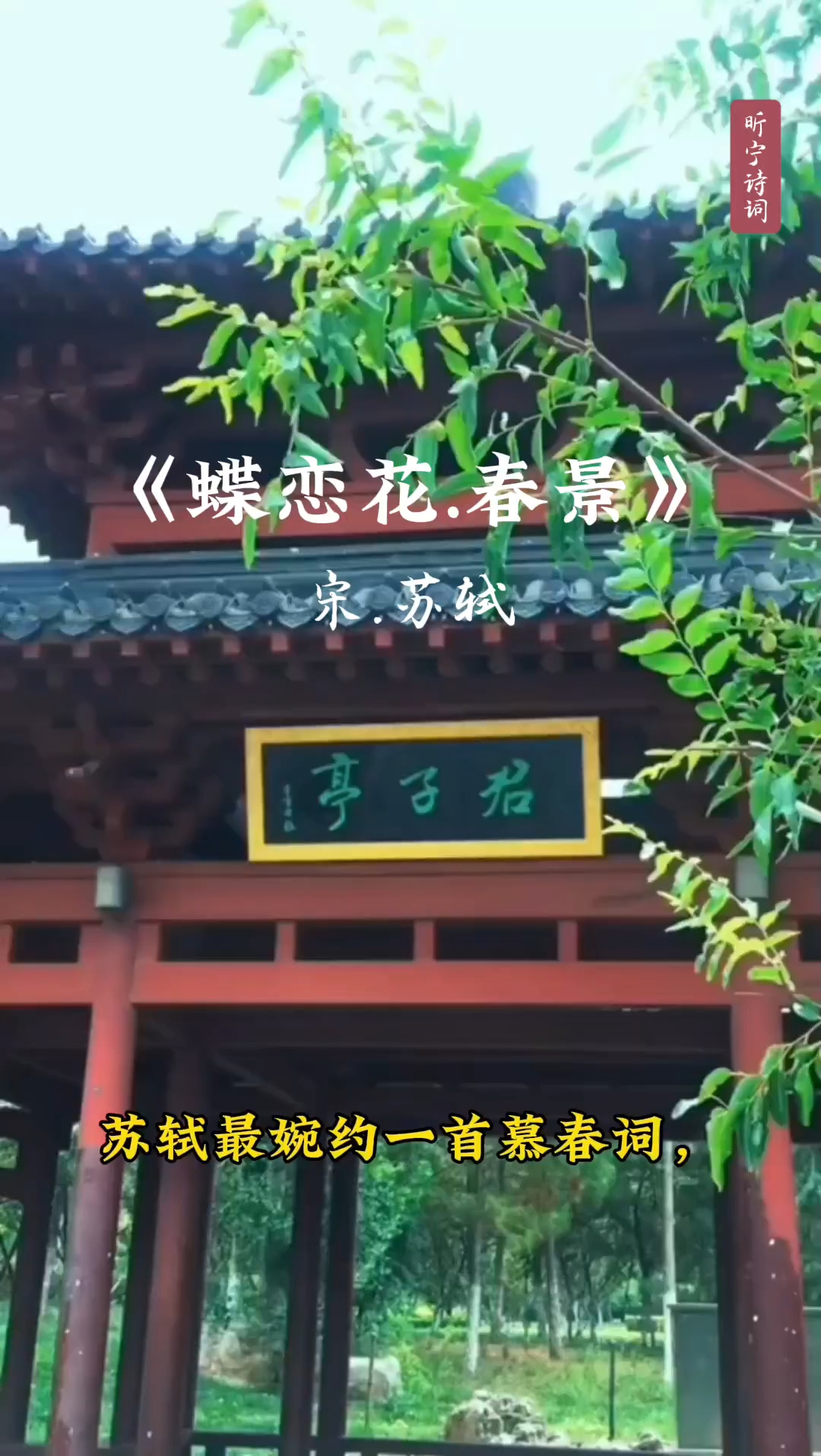 《蝶恋花.春景》苏轼#古诗词鉴赏