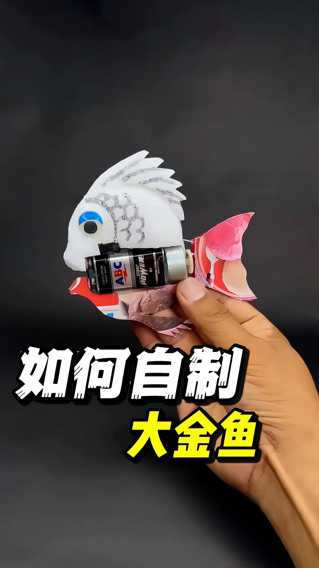 如何自制大金鱼