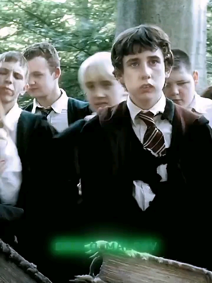#哈利波特 #汤姆·费尔顿 #帅帅帅