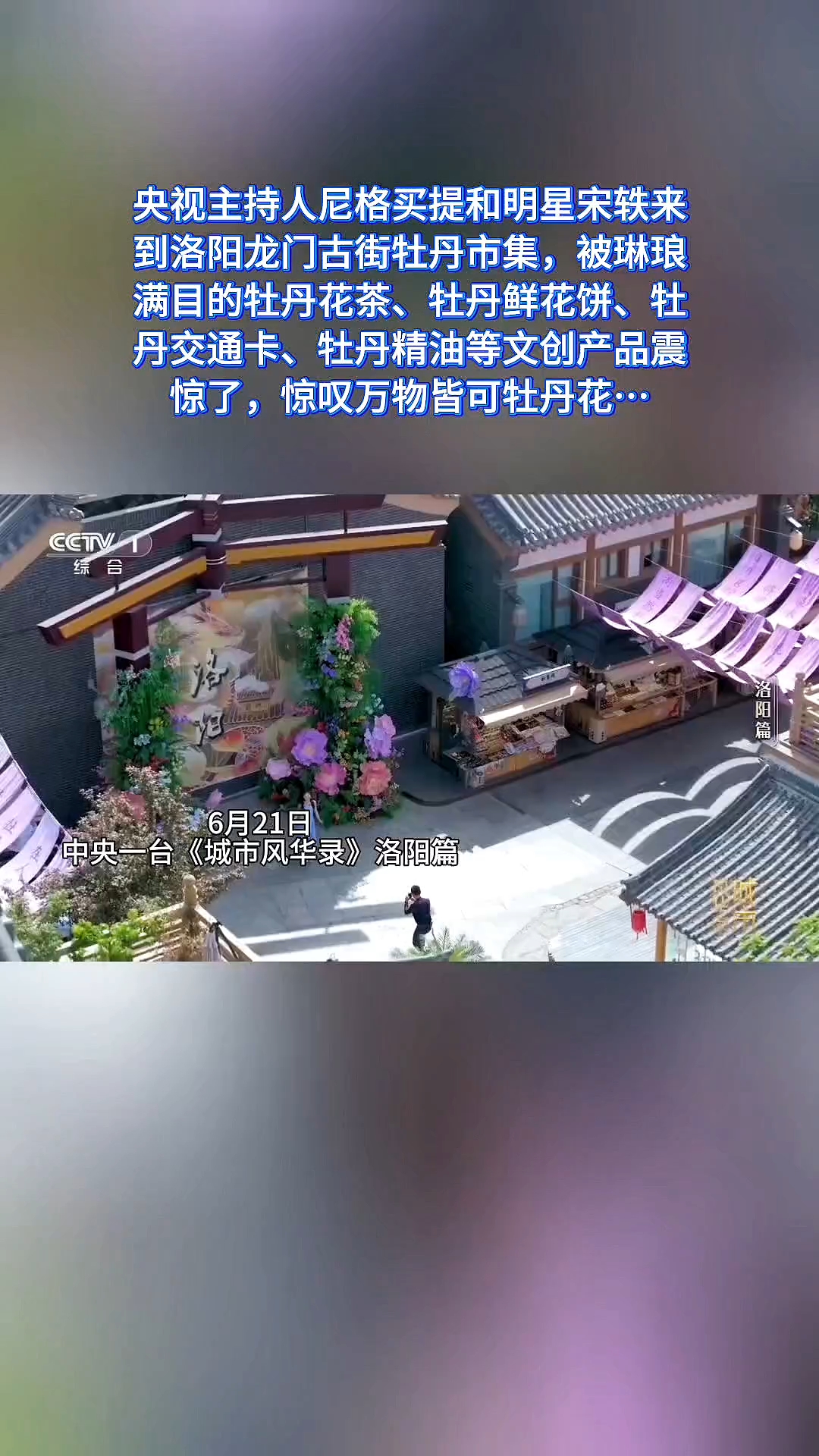 洛阳牡丹甲天下,牡丹市集文创产品琳琅满目,小尼和宋轶都惊到了