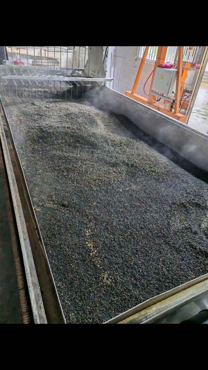 农家自己榨的菜籽油 价格比外面卖的贵 但是香啊!