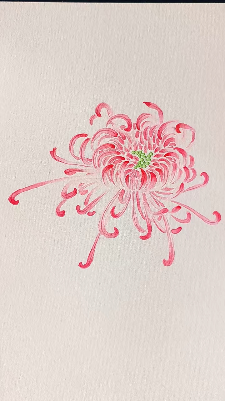 国画|手把手教画菊花(视频教程) 国画没骨菊花怎么画？...