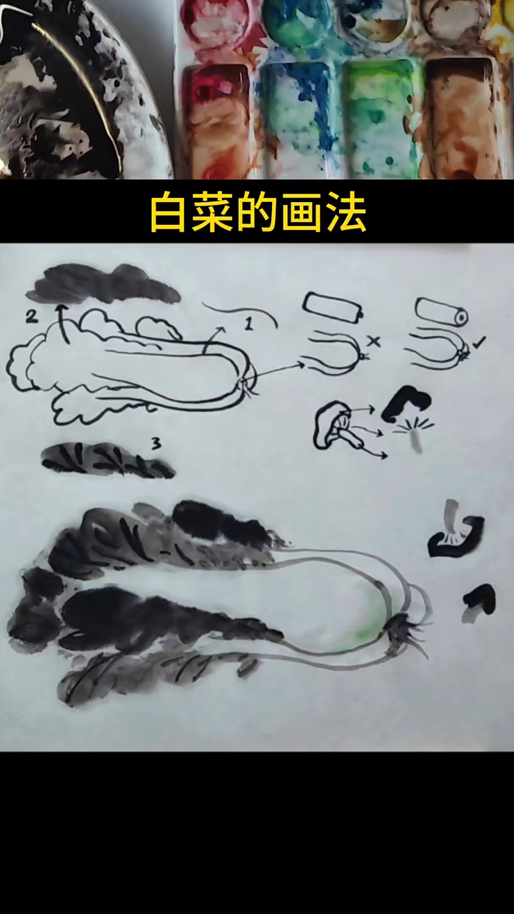 不会画白菜，画画的水墨技法就没有掌握