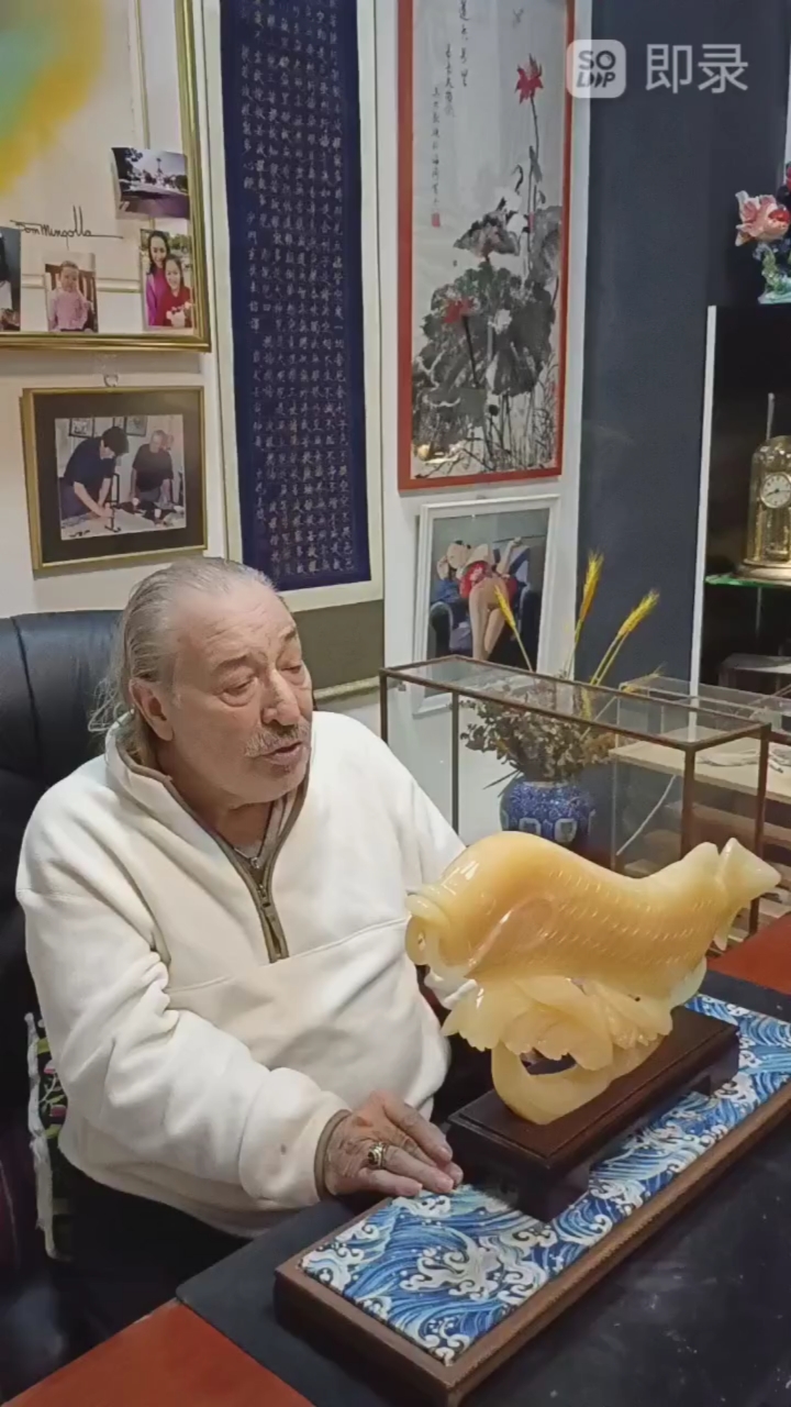 玉石金龙鱼#今日分享