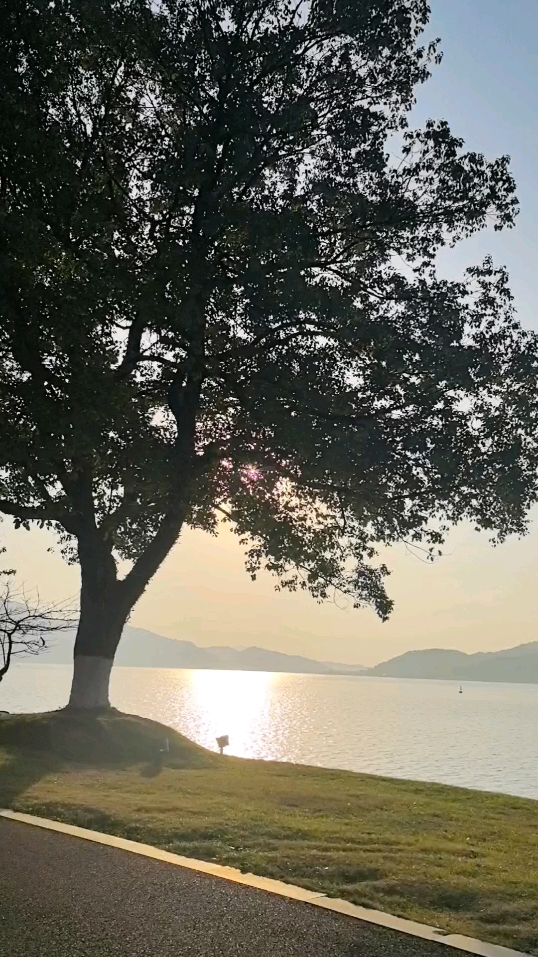 漫步宁波东钱湖,夕阳西下风景难忘!浅游小普陀景区