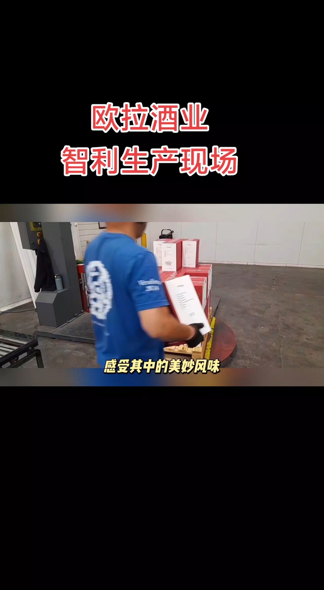 欧拉酒业智利梅洛干红生产现场#智利 #生产现场 