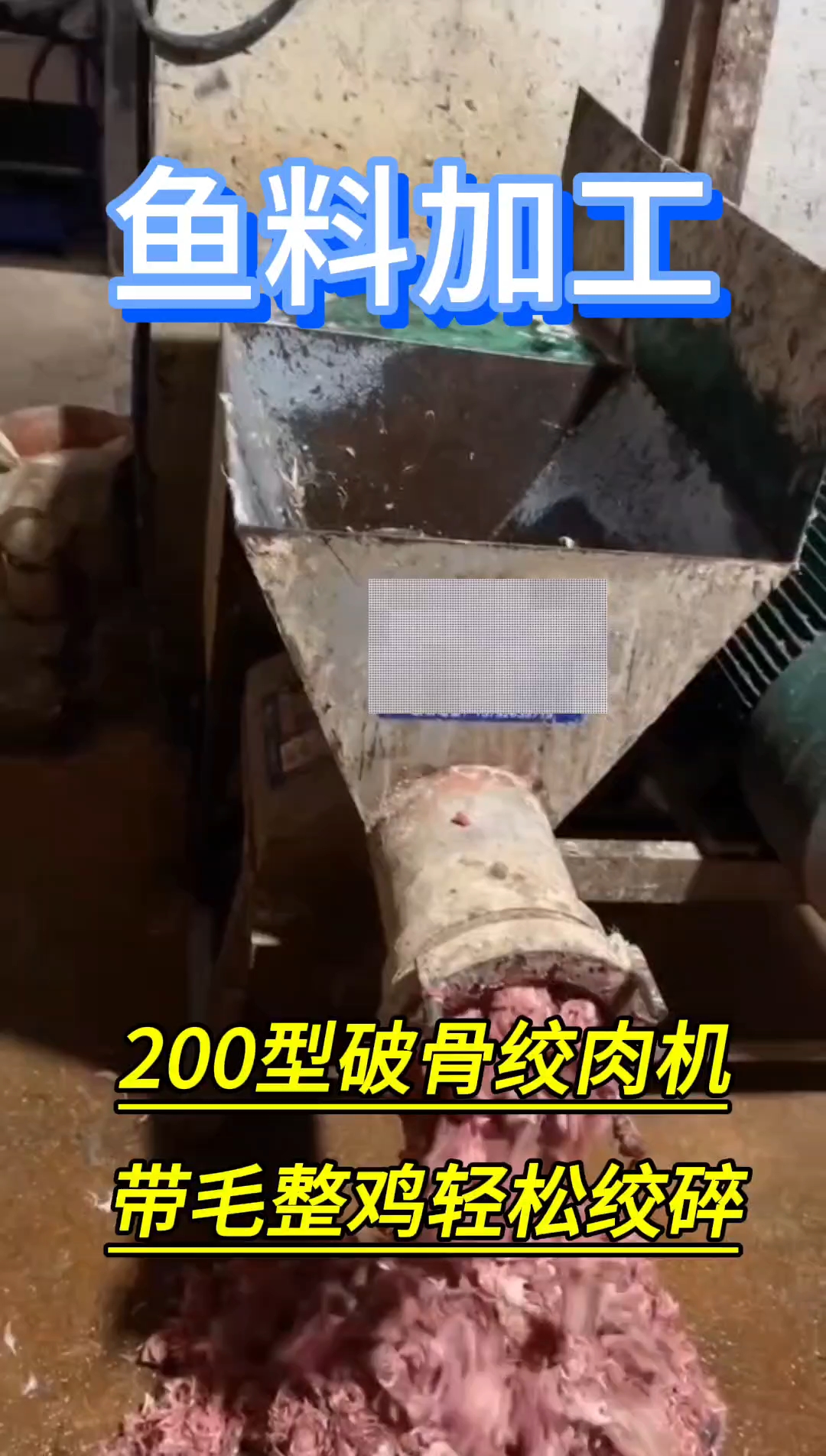 《客户使用视频》200型破骨绞肉机带毛整鸡轻松绞碎#埃及塘鲺