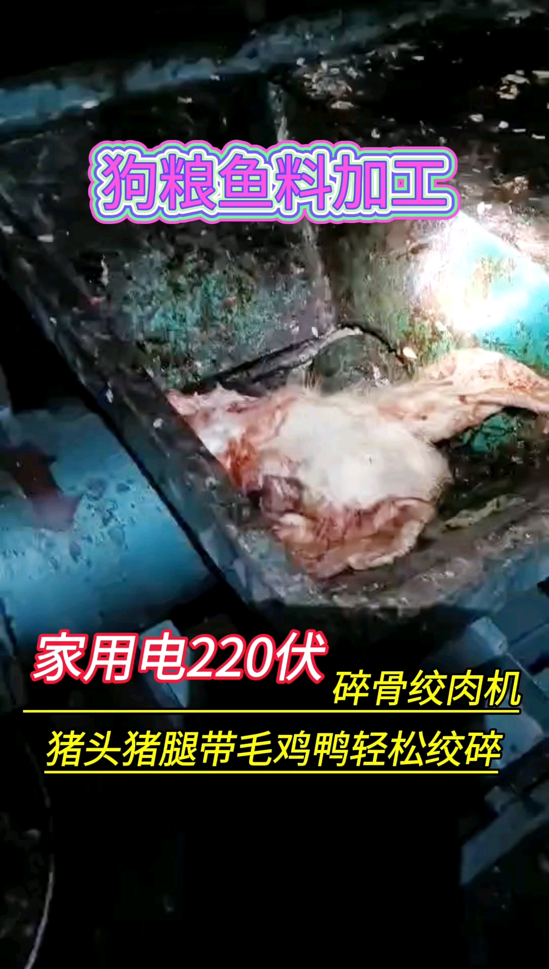 家用电220伏碎骨绞肉机,猪头、猪腿、带毛鸡鸭轻松绞碎