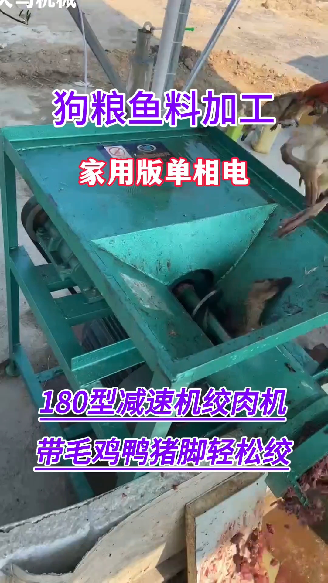 《客户使用视频》家用单相电180型减速机款碎骨绞肉机,冻带毛
