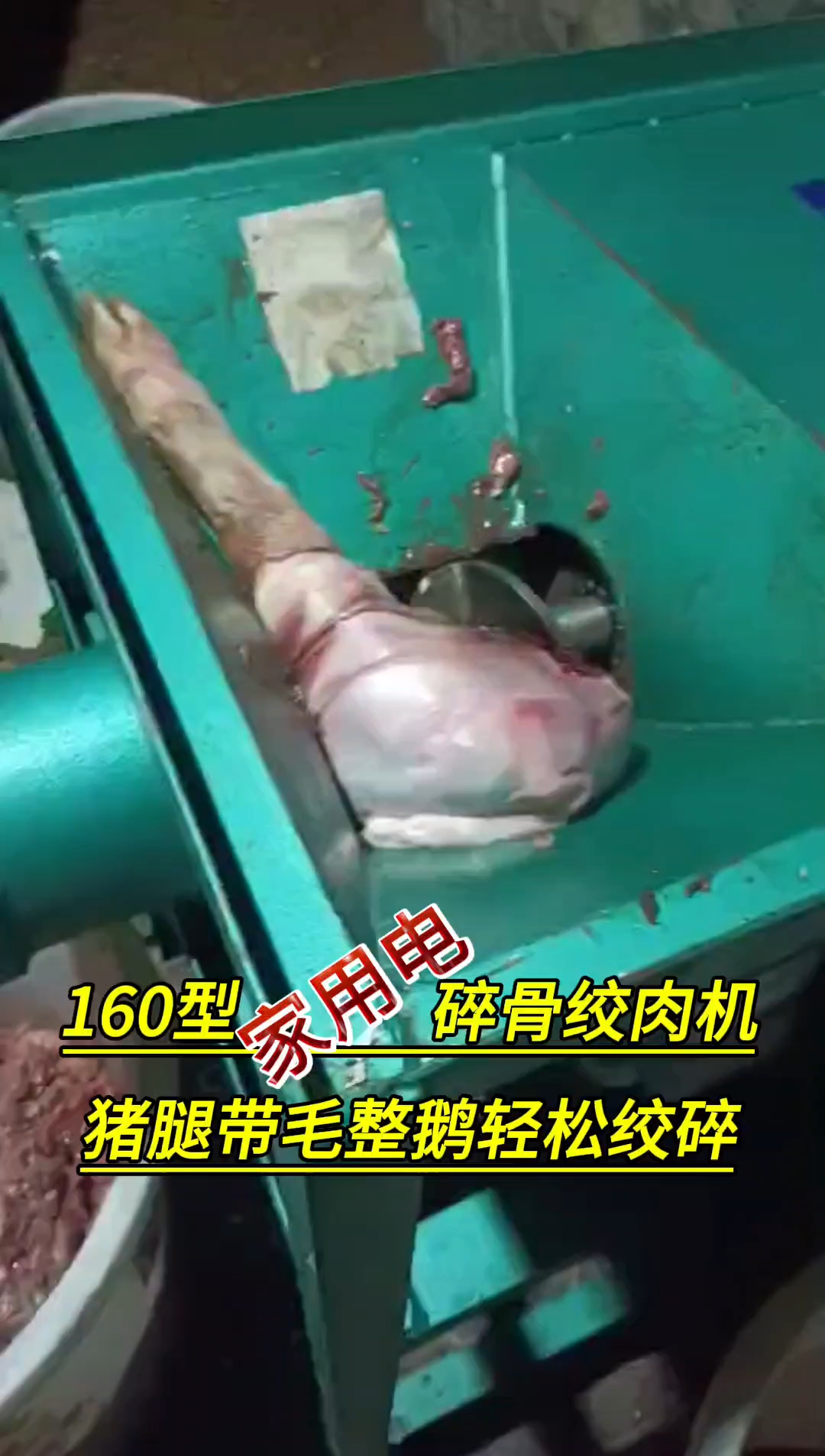 《客户使用视频》160型220V家用电减速机款碎骨绞肉机,
