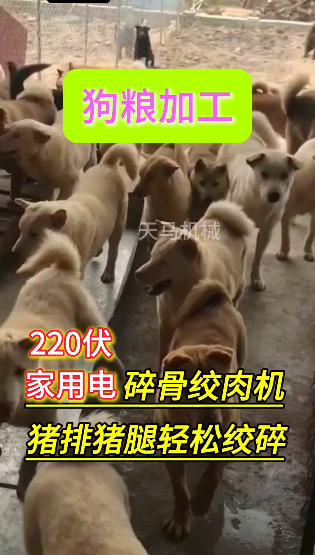 《客户使用视频》180型减速机款220V家用电,碎骨绞肉机猪