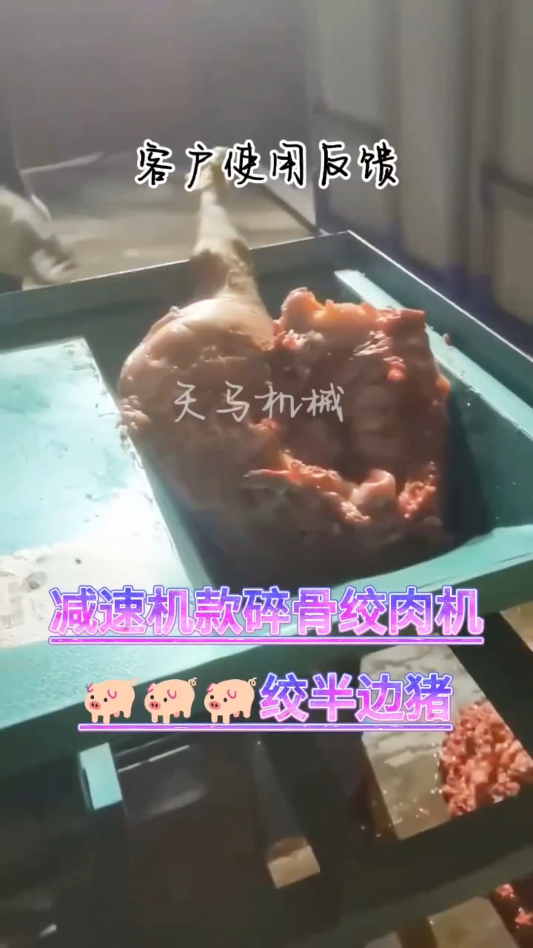 《客户使用视频》180型减速机款碎骨绞肉机,半边猪轻松绞碎,