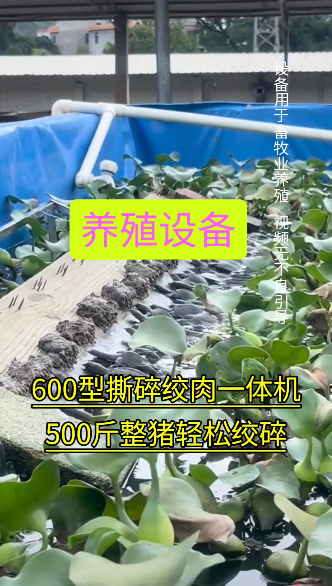 养殖设备,无不良引导600型撕碎绞肉一体,500斤整猪轻松绞