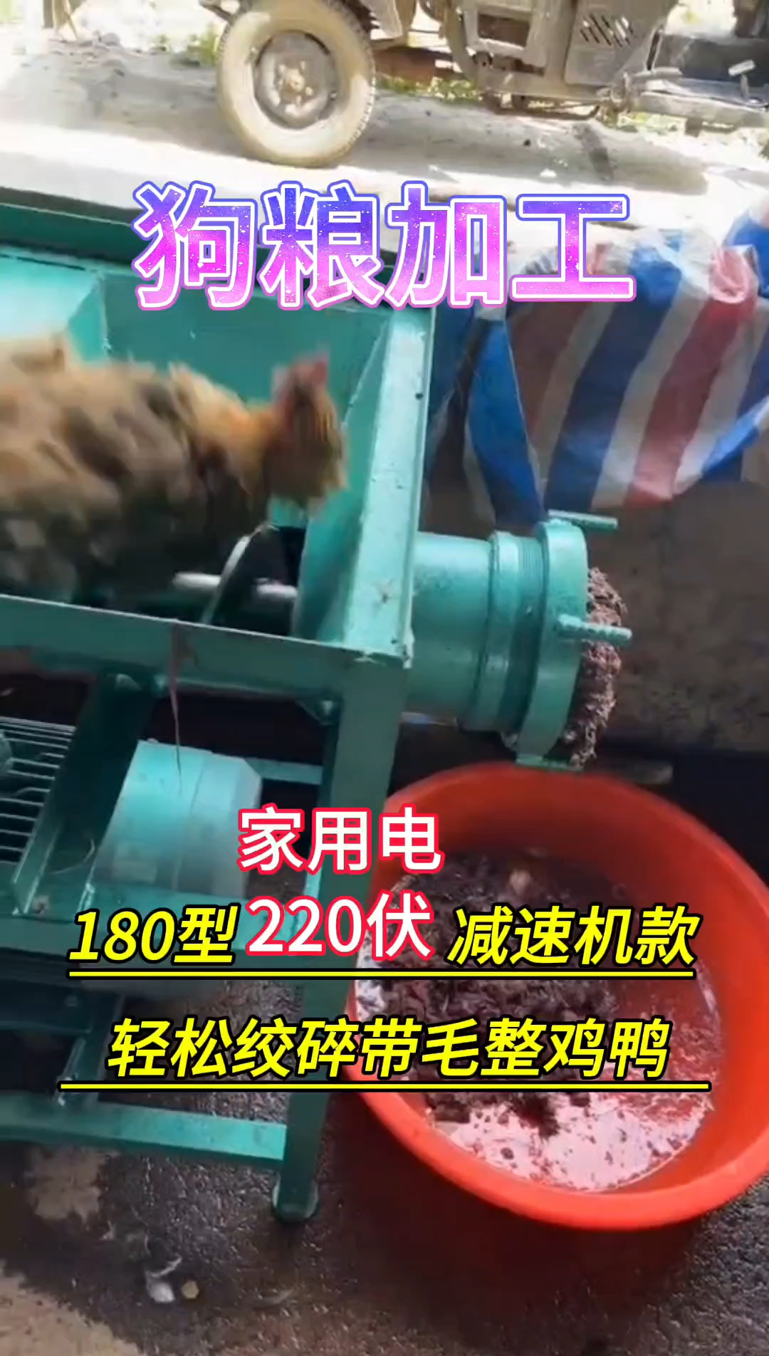 《客户使用视频》180型家用电220V减速机款碎骨绞肉机