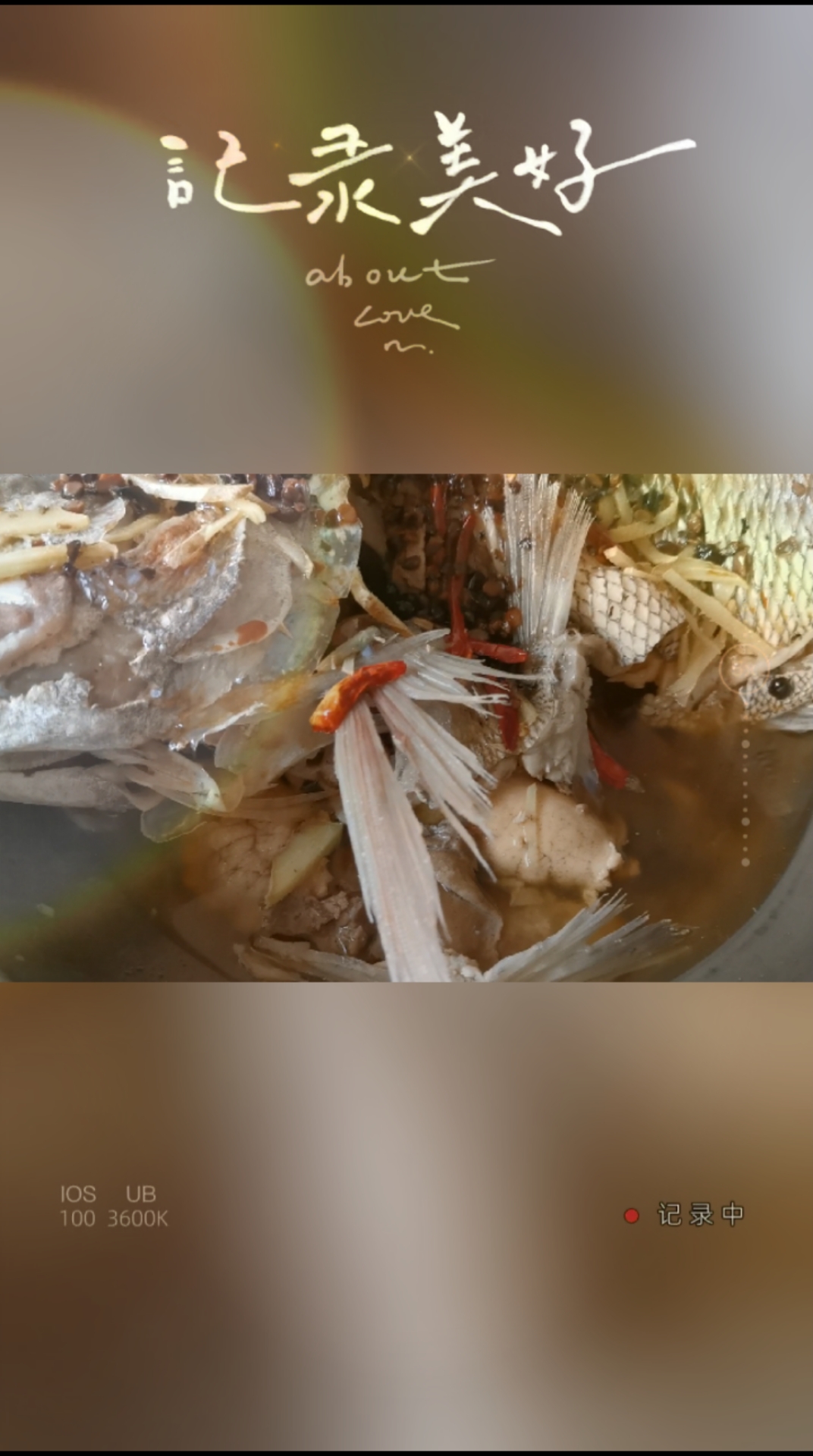 水煮油泼野生海加吉鱼