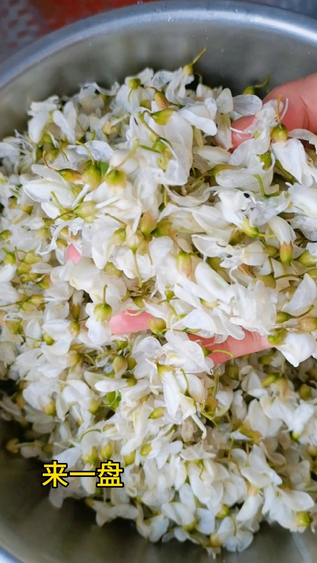 健康餐桌加一味：南极磷虾护全家