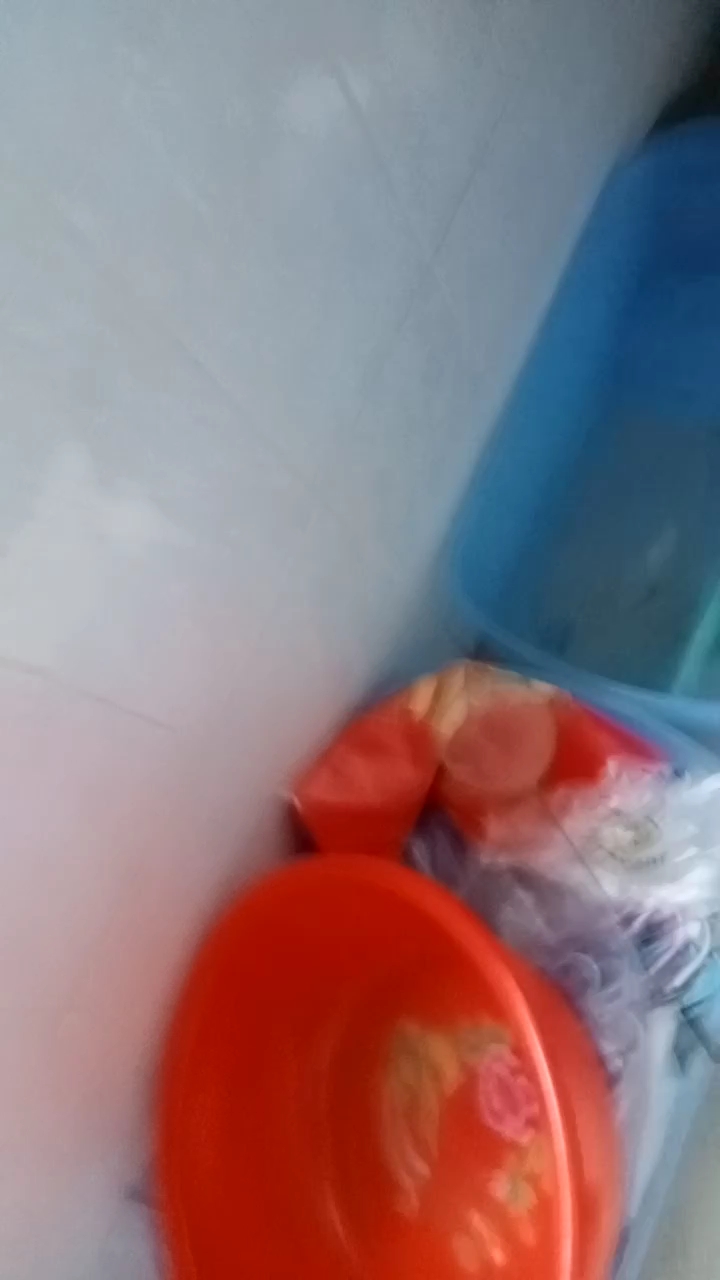 乌龟缸添加三千块钱的过滤系统