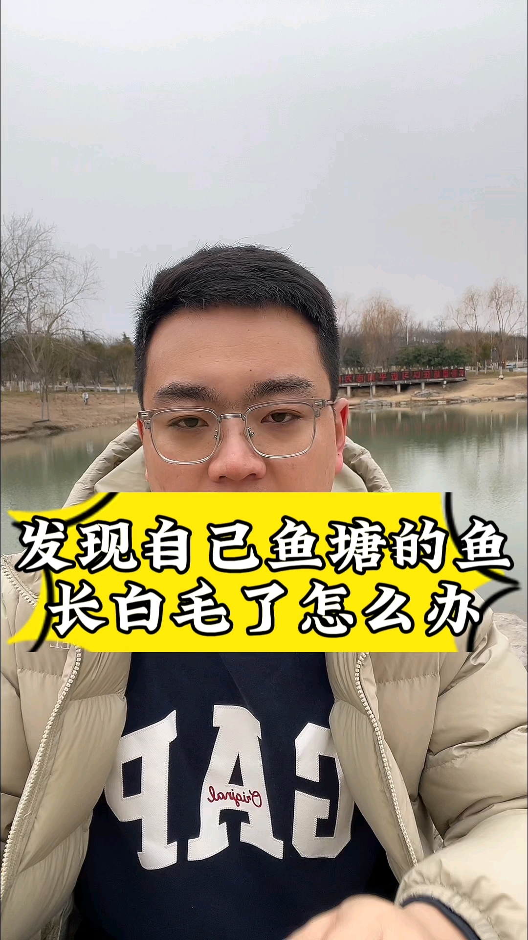 鱼长白毛了怎么办