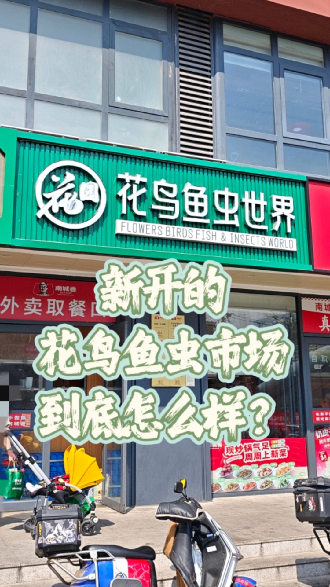 【随拍】花园花鸟鱼虫世界 一个静悄悄的花鸟鱼虫市场#爬宠# #宠物# #花卉# #绿植#