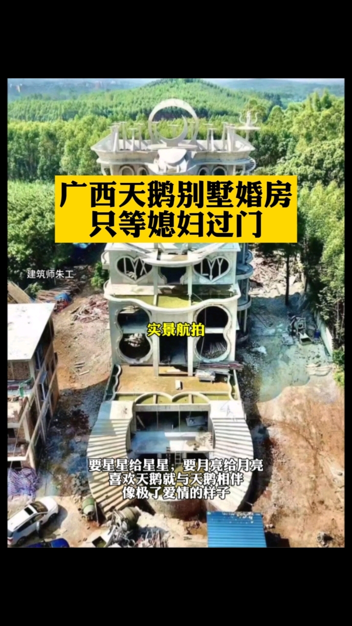 疯狂的天鹅,疯狂的别墅