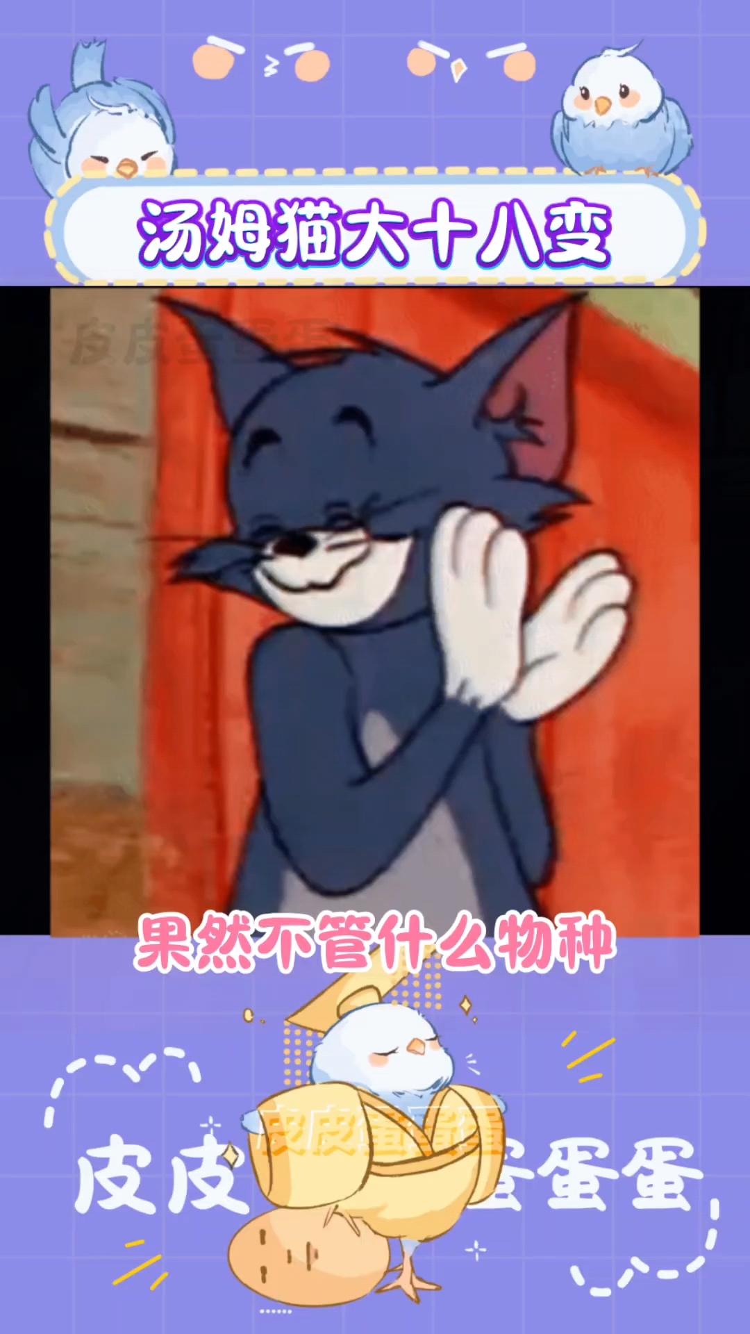 汤姆猫大十八变（cr：网络）