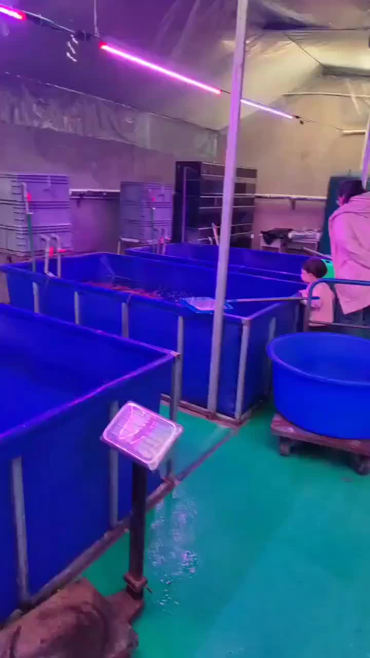 帆布鱼池如何过滤?