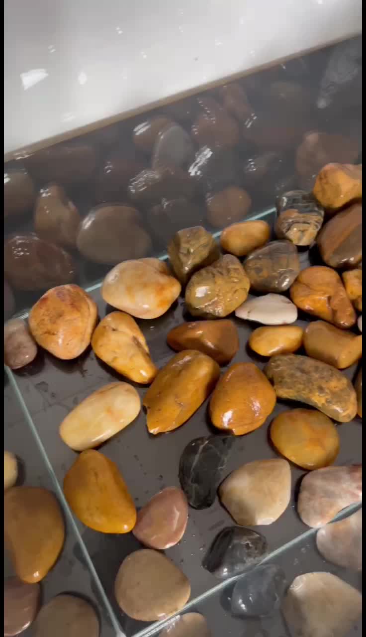鱼缸造景放石头 ,增加层次感,简直YYDS
