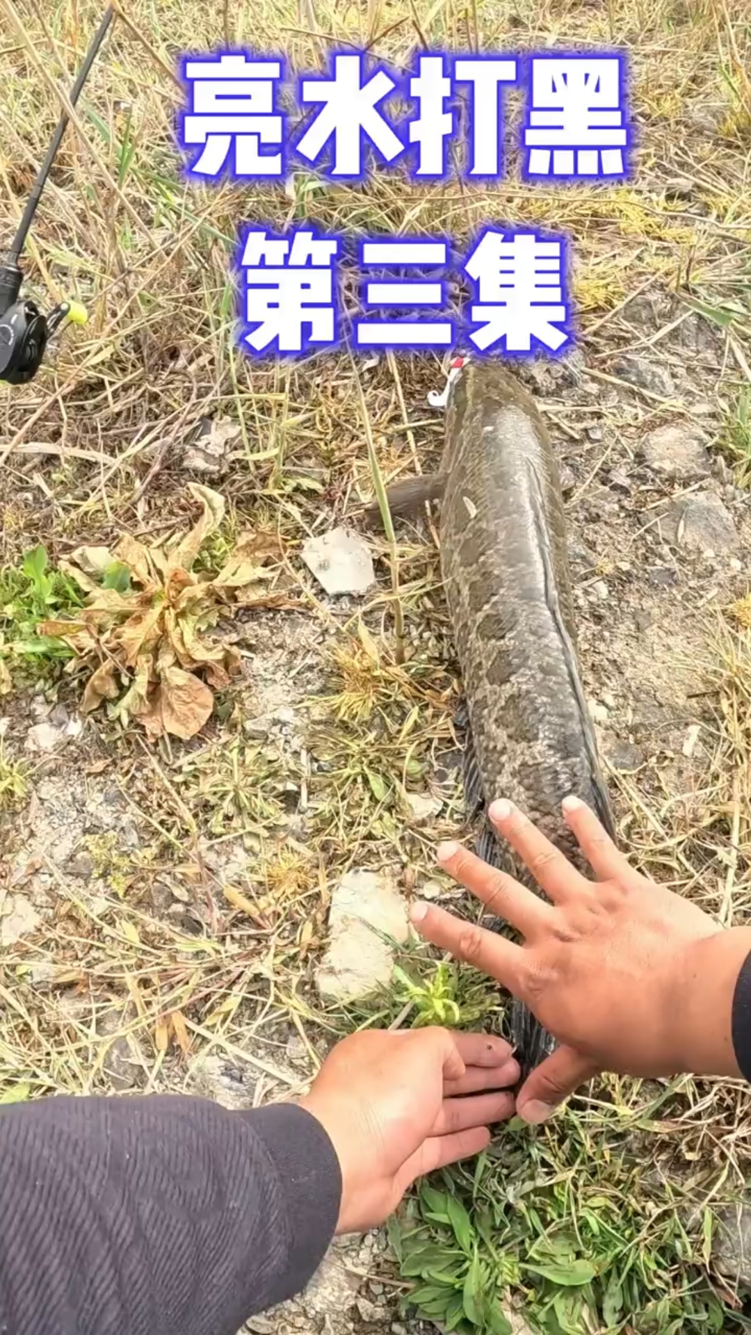路亚亮水铅头钩黑鱼