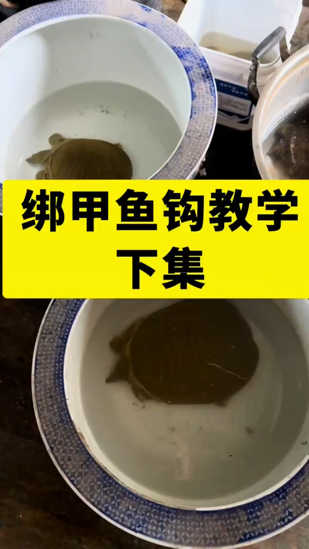 甲鱼钩的绑法 甲鱼钩 打甲鱼 甲鱼