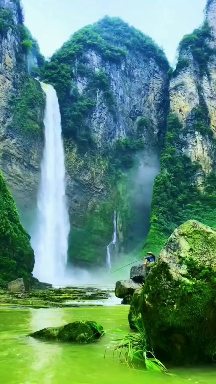 分享视频
