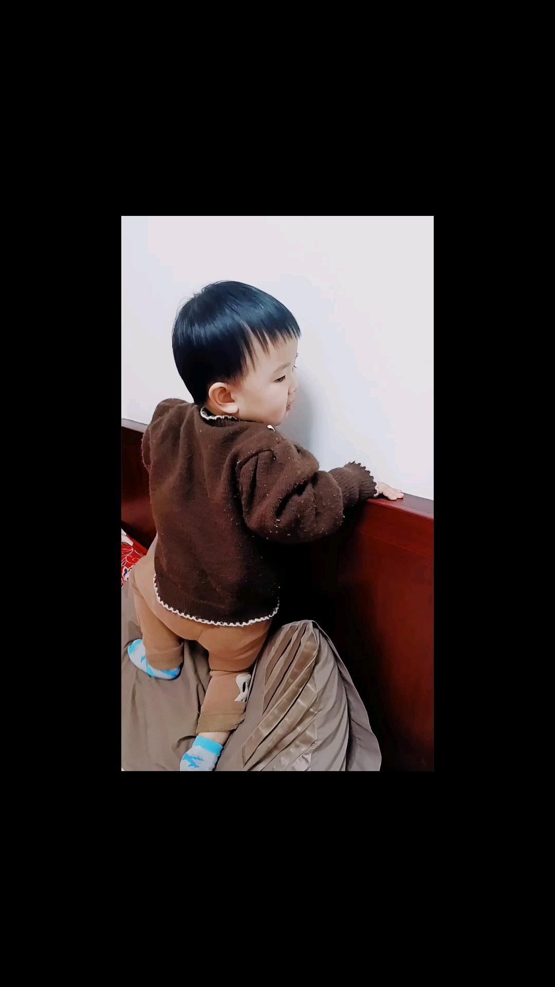 可爱小老虎上楼梯