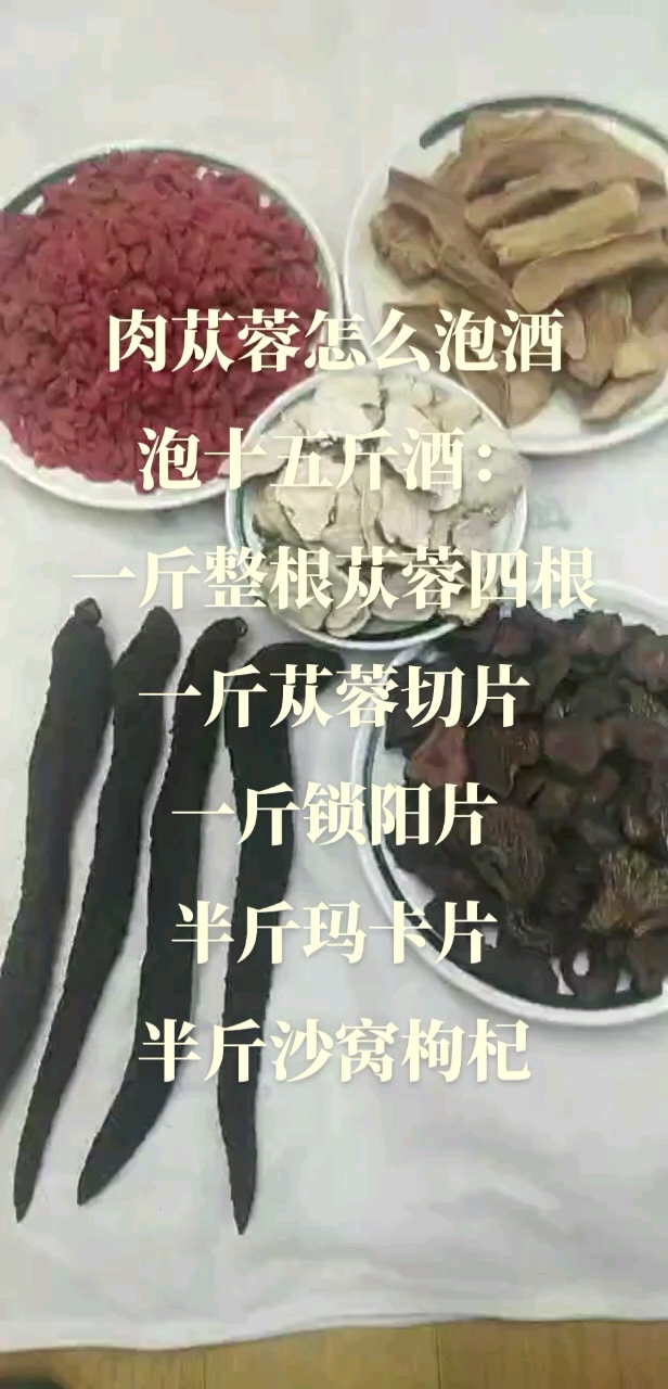 内蒙古阿拉善肉苁蓉