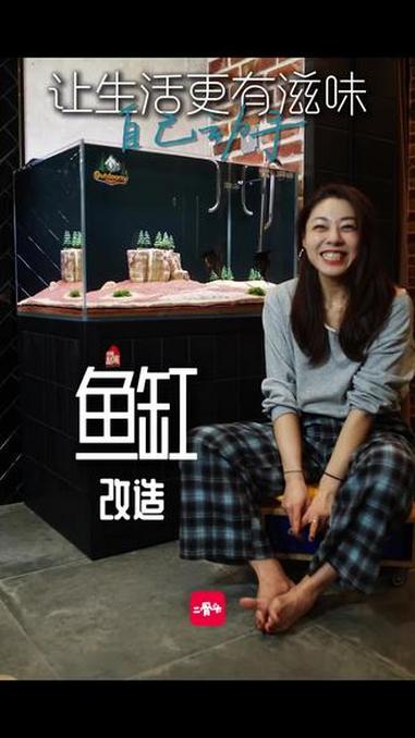 鱼缸改造～从普通到治愈,把生活的小美好塞进鱼缸里!