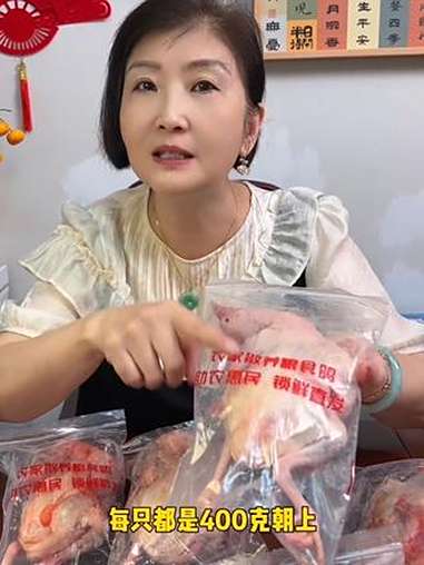 农家散养 鸽子,上海本地 大鸽子 快来一起尝个鲜