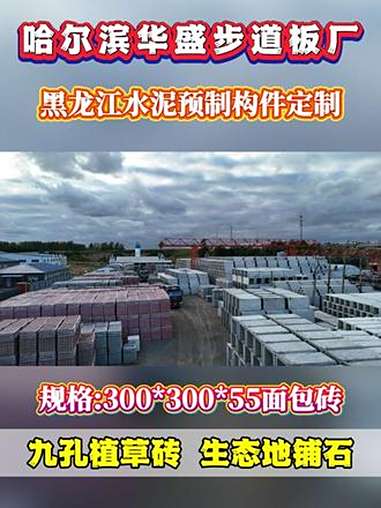 哈尔滨步道板厂家 九孔植草砖 透水砖 小区道路硬化面包砖 水泥彩砖 旅游景区停车位抗压护草