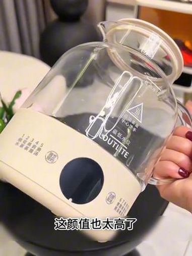 养生壶 煮茶器 多功能养生茶壶 f