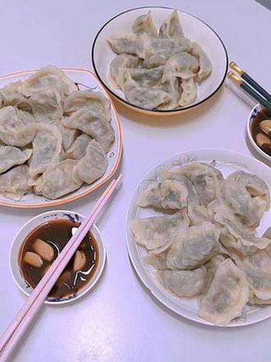 猪肉韭菜虾仁馅饺子，特好吃，一斤面粉，两克盐，半斤温水和好醒 #虾仁饺子 #饺子的花样包法