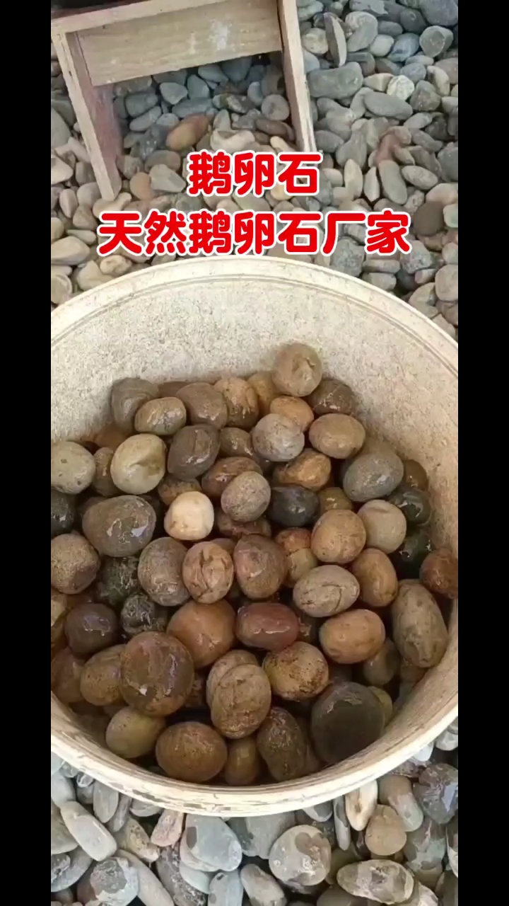 鹅卵石 天然鹅卵石厂家