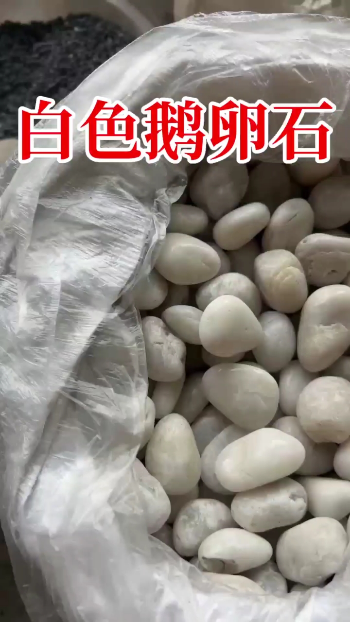 鹅卵石白色鹅卵石