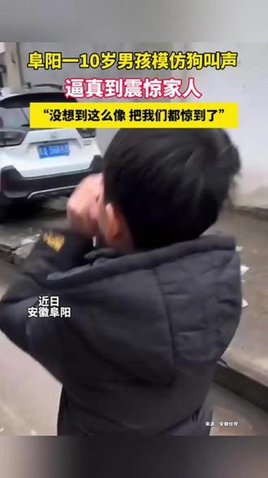 2月5日(采访),安徽阜阳。十岁弟弟模仿狗叫声 惟妙惟肖,“没想到这么像 把我们都惊到了”