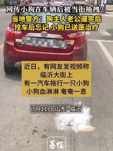 警方回应小狗被当街拖行 系车主失误 已送宠物医院治疗 7月11日,有网友拍到山东临沂街头一