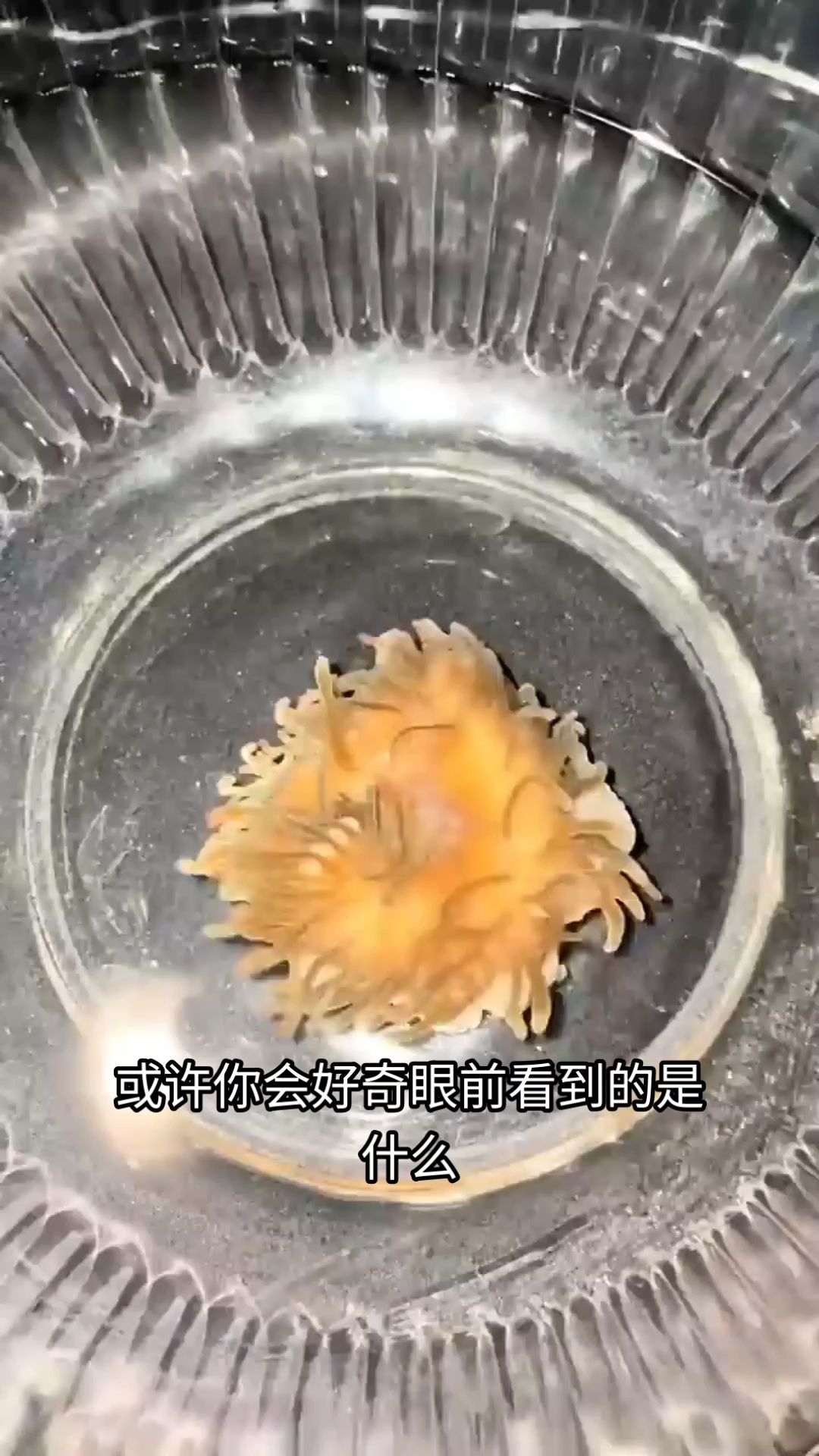 分享视频