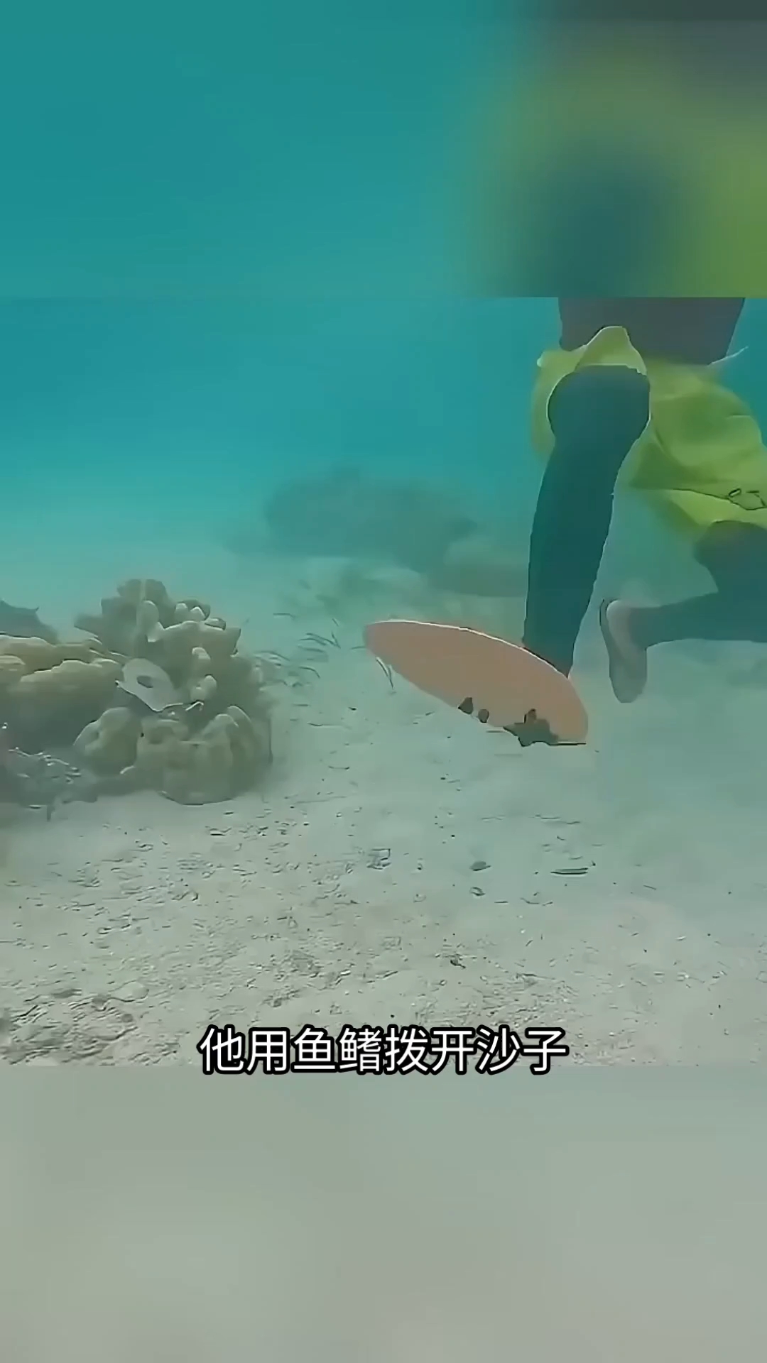 分享视频