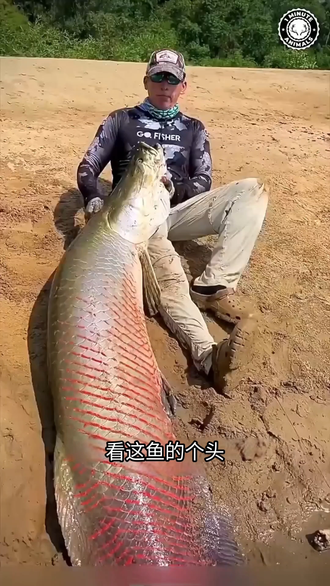 分享视频
