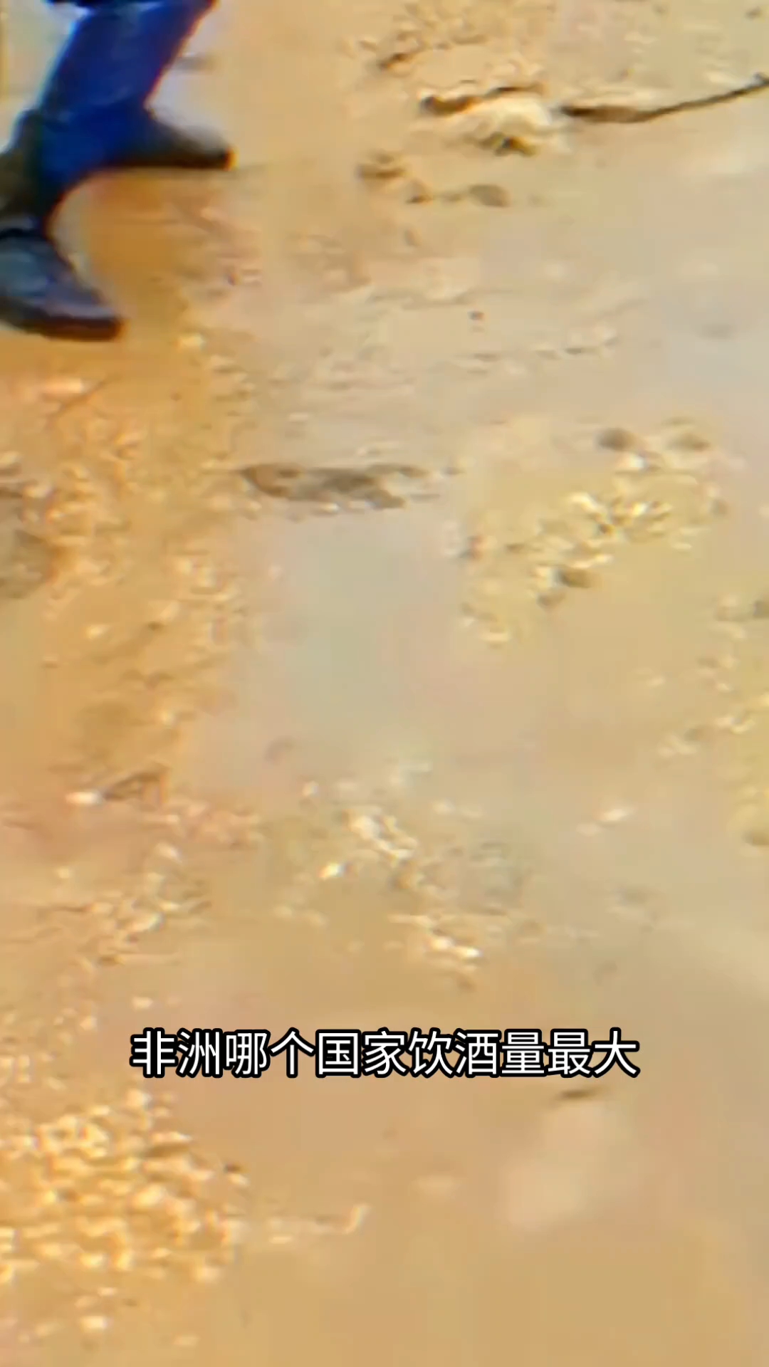 分享视频