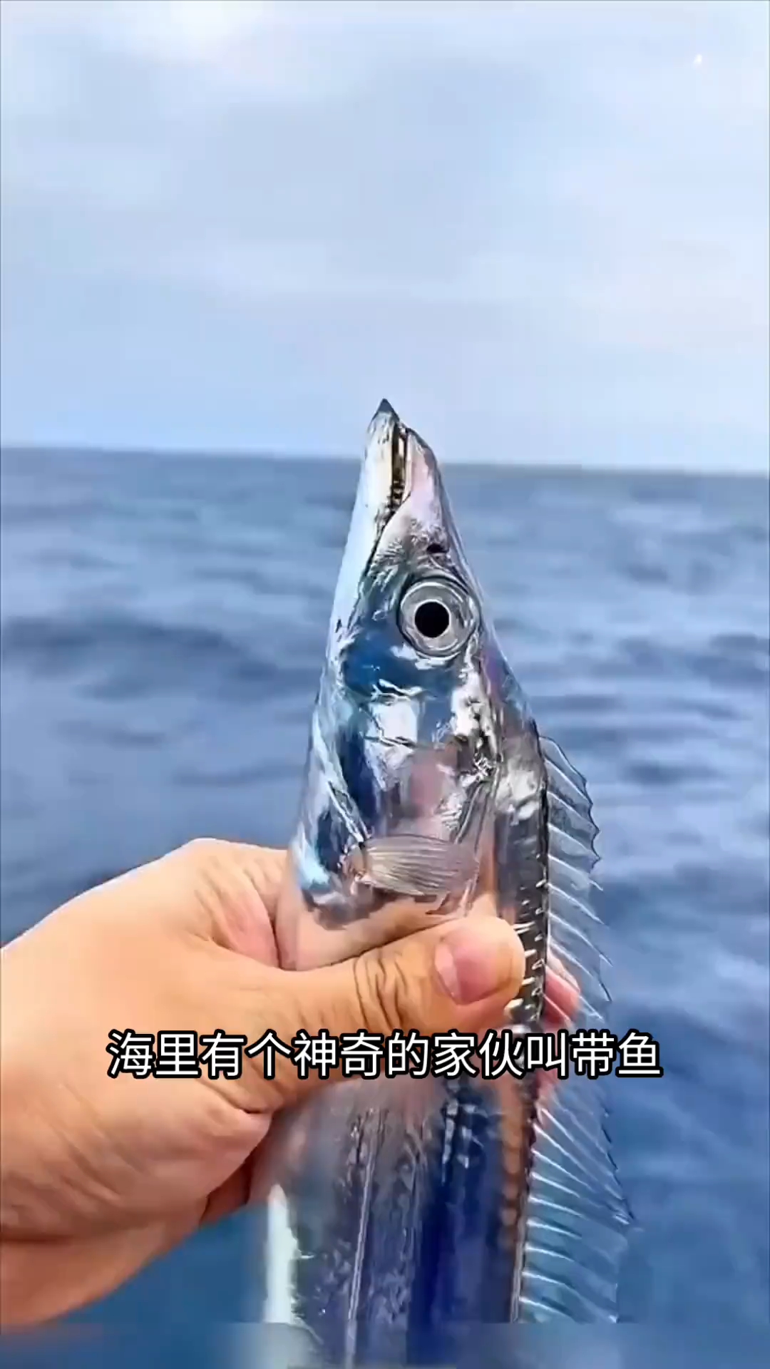分享视频