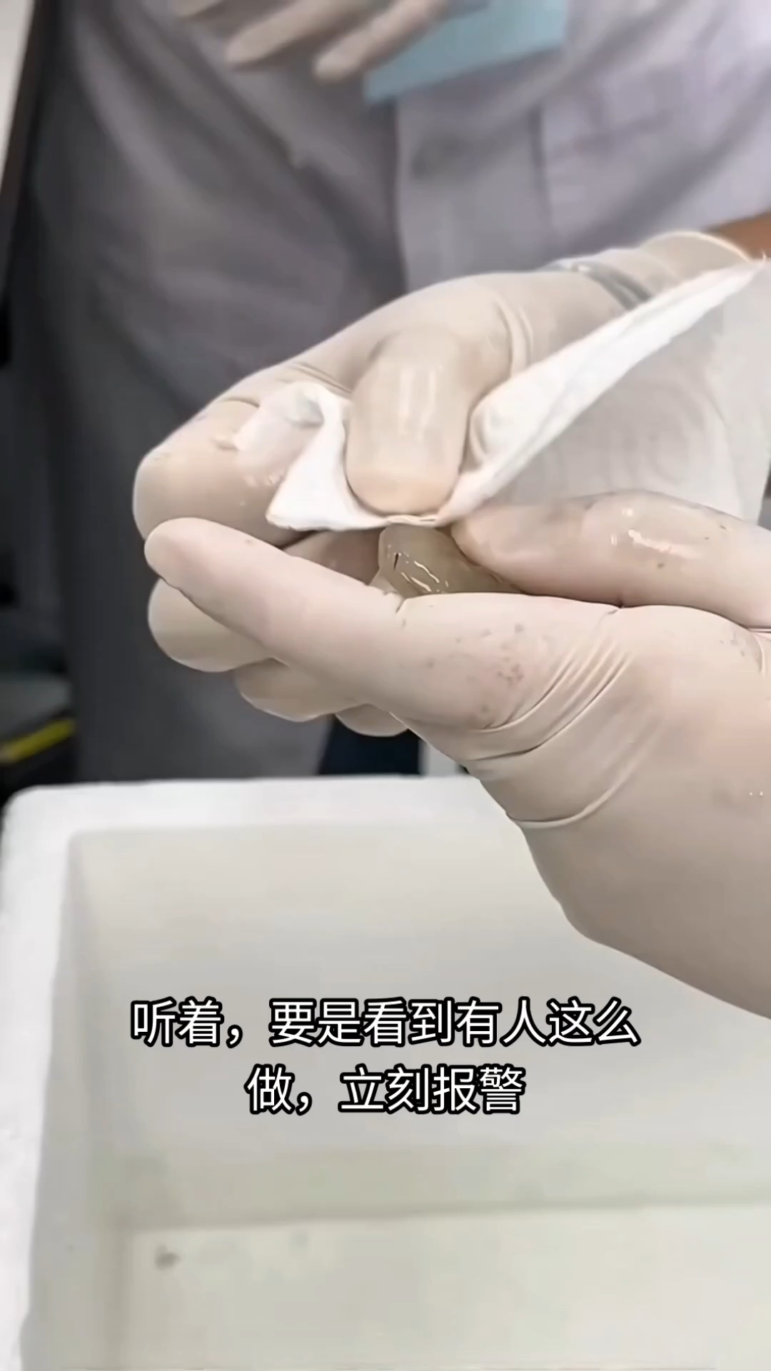 - 看到有人给透明虾注射彩色染料?立即报警,有害!