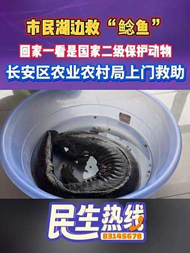 如今，大伙保护野生动物的意识越来越强，在西安市长安区一对父女散步的时候就遇到了一只疑似受伤